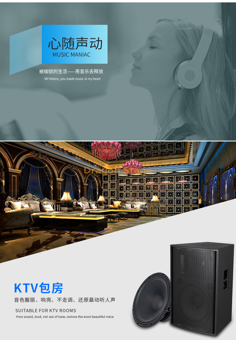details R112c R115c R215c Single & Double 15 Inch Outdoor Large Stage Audio Performance Wedding Professional Speaker (7)