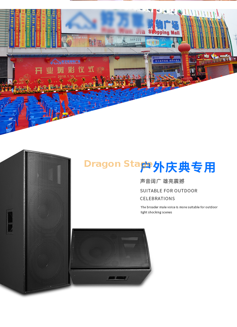 details R112c R115c R215c Single & Double 15 Inch Outdoor Large Stage Audio Performance Wedding Professional Speaker (1)