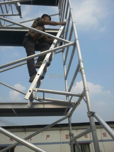 Construction Tower Scaffolding with 45 Degree Ladder