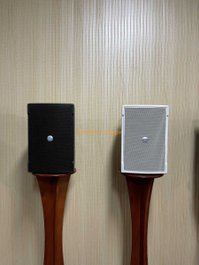 Professional audio equipment indoor 10 inch 250W sound system portable speaker