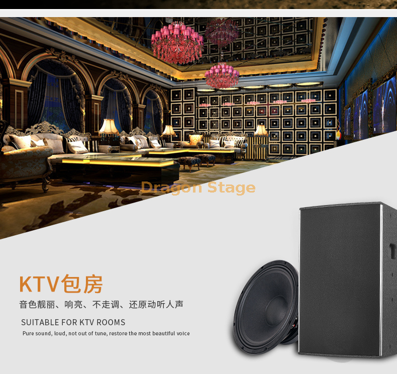details C52 single 10 inch 12 inch 15 inch professional KTV private room bar sound set family performance stage speaker (5)