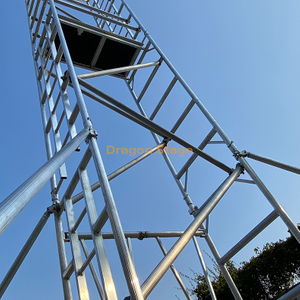 single wide scaffold (7).jpg