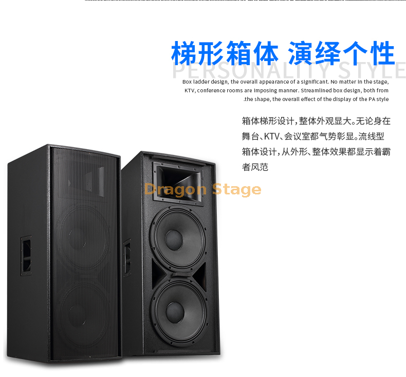 details R112c R115c R215c Single & Double 15 Inch Outdoor Large Stage Audio Performance Wedding Professional Speaker (6)