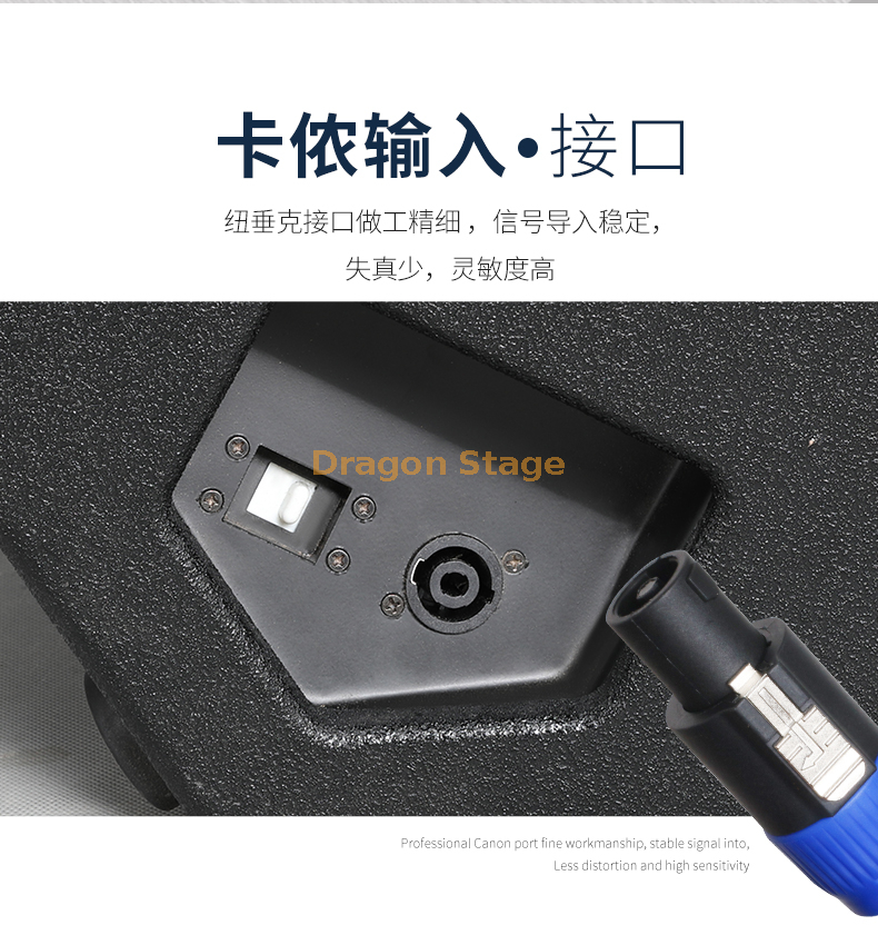 details of professional stage speakers (4)