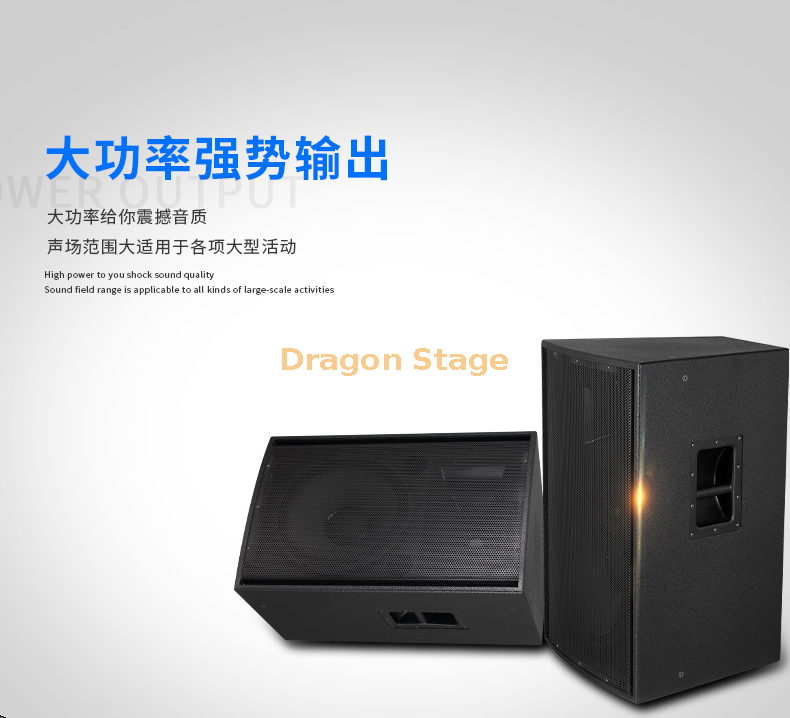 details R112c R115c R215c Single & Double 15 Inch Outdoor Large Stage Audio Performance Wedding Professional Speaker (3)