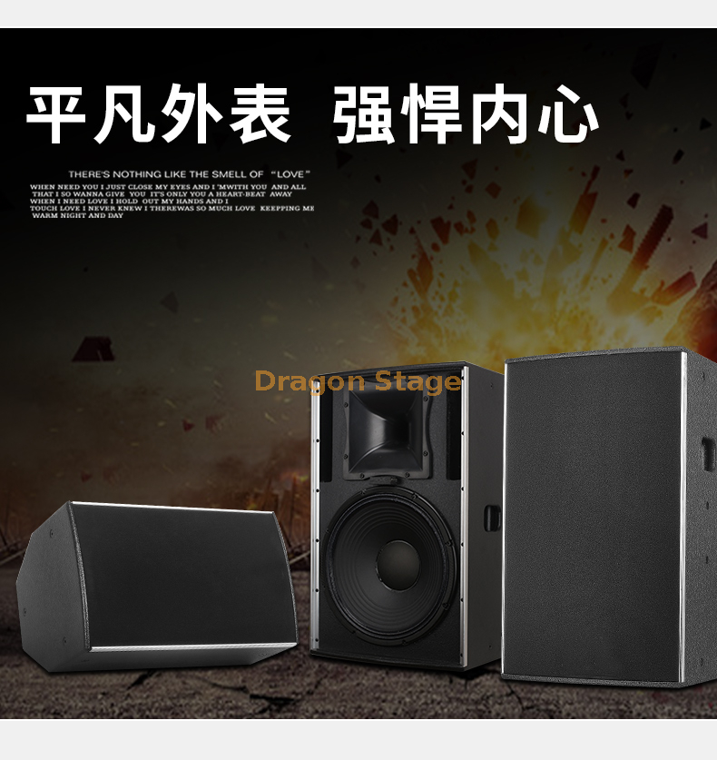 details C52 single 10 inch 12 inch 15 inch professional KTV private room bar sound set family performance stage speaker (9)