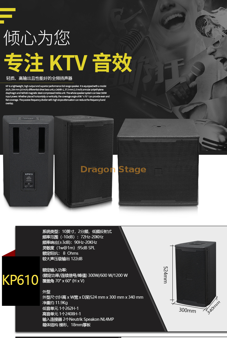 details Single 10-inch 12-inch 15-inch Professional Bar KTV Speaker Home Stage Audio (4)
