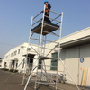 Double Ladder Scaffold 5M