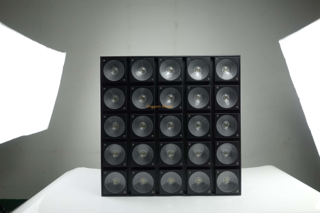 25 Beads 10W Monochrome Matrix Light Led Panel for Landscape