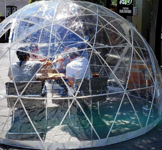 Transparent PVC Geodesic Garden House Igloo Dome Tent 