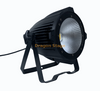 100W Warm WhiteCool White Monochromatic COB Lamp