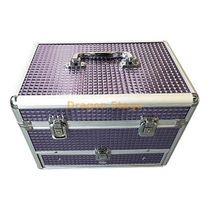 Party Cosmetic Box Make-up Case with Aluminum Storage Case