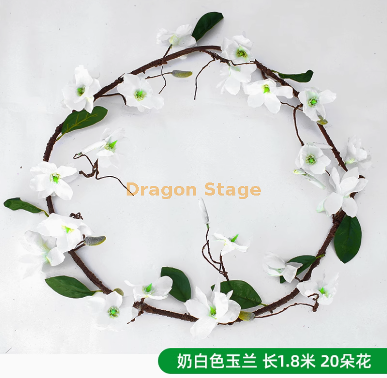 白色 玉兰花（一条）