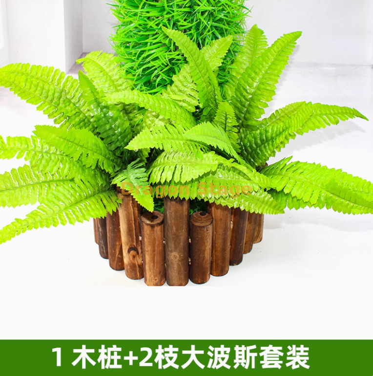 浅绿色 木桩+2枝大波斯