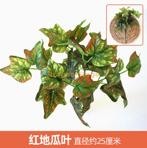 Green plants, simulated plant walls, plastic lawns, balconies, indoor backgrounds, flower walls, orange red sweet potato leaves, 1 branch