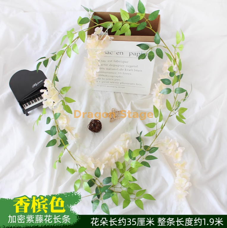 香槟色 香槟加大紫藤1条