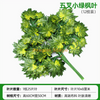 Simulated Banyan Tree Leaves, Red Maple Leaves, Ginkgo Leaves, Indoor Fake Branches, Five Forks, Small Green Maple Leaves, 12 Branches in a Shopping Mall