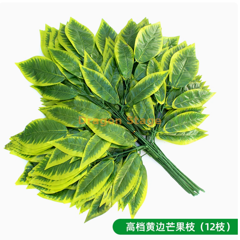 高档黄边芒果枝（12枝）