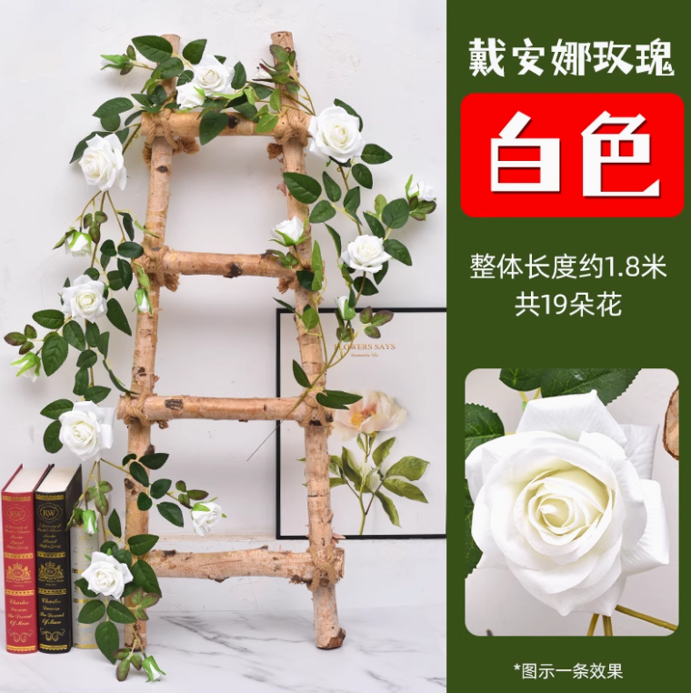 白色戴安娜大玫瑰花藤1条