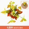 Green plants simulation plant wall plastic lawn balcony indoor background flower wall light yellow autumn grass 1 branch