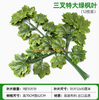 Simulated banyan tree leaves, red maple leaves, ginkgo leaves, shopping mall, indoor fake branches, three pronged large green maple leaves, 12 branches