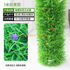 Package for decorating and covering water pipes, simulating tree bark, green plants, colorful flowers, and large aquatic plants (3 meters). Installation package included