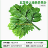 Decoration and obstruction of water pipes, simulated tree bark, green plants, green large leaves, 1 (12 branches)