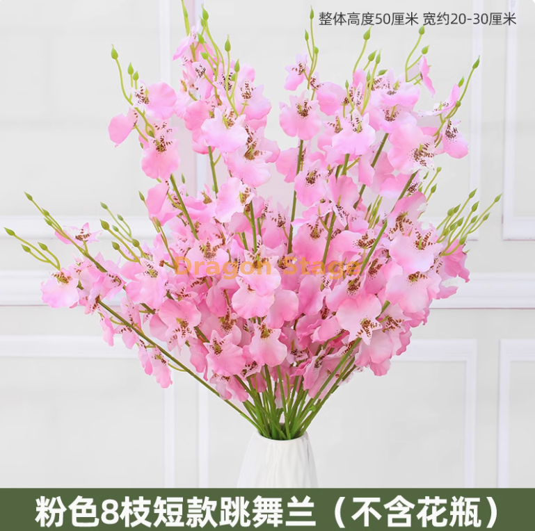 粉红色 8枝短款粉跳舞兰