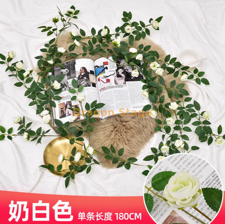 白色维西利亚花苞藤1条