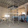 Construction Mobile Double scaffolding with step ladder