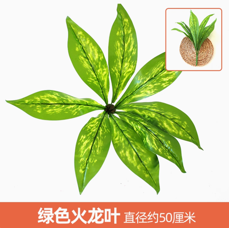 灰色 绿色火龙叶1枝