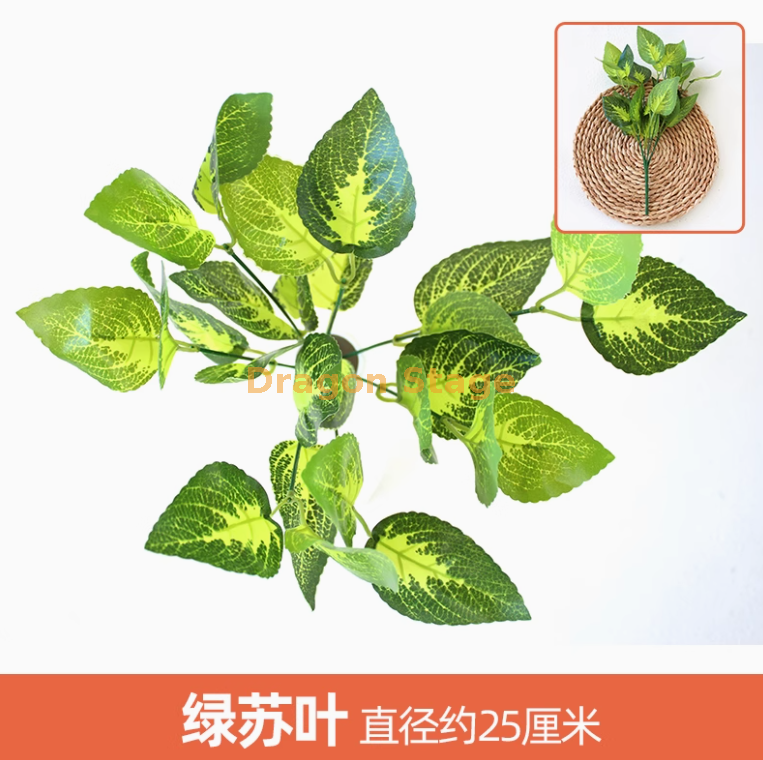 柠檬黄 绿苏叶1枝