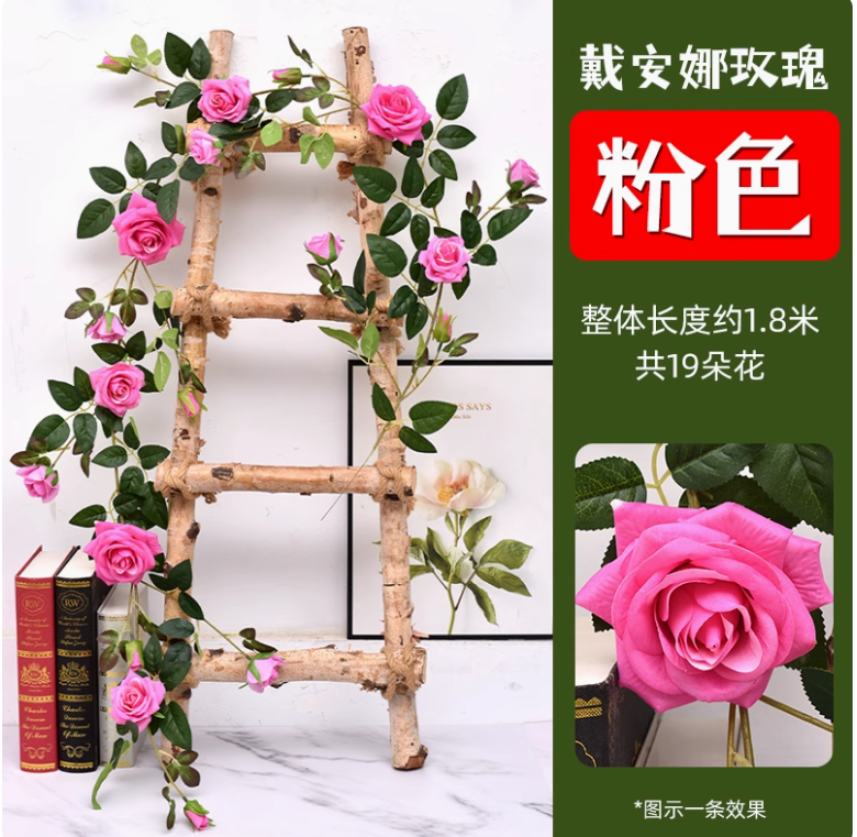 粉红戴安娜大玫瑰花藤1条