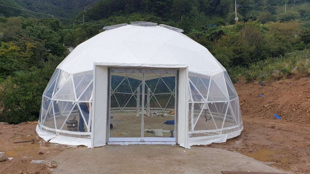 Diameter 3m Dome Type Pvc Roofing House Geodesic Tent