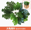 Green plants, simulated plant walls, plastic lawns, balconies, indoor backgrounds, flower walls, dark brown, large turtle shell leaves, 1 bundle