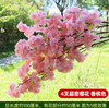 Simulated bark, green plants, flowers, vines, leaves, wrapped in water pipes, decorated with 4-pack champagne, super dense cherry blossoms (5 branches)