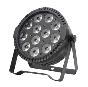 100W 12*10W 4in1 LED Par Light