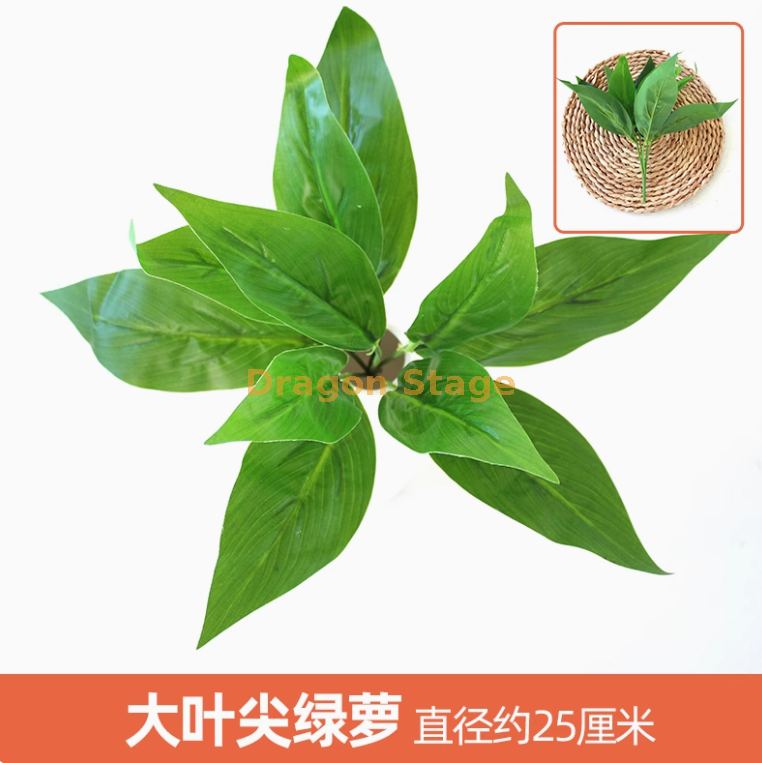 孔雀蓝 大叶尖角绿萝1枝