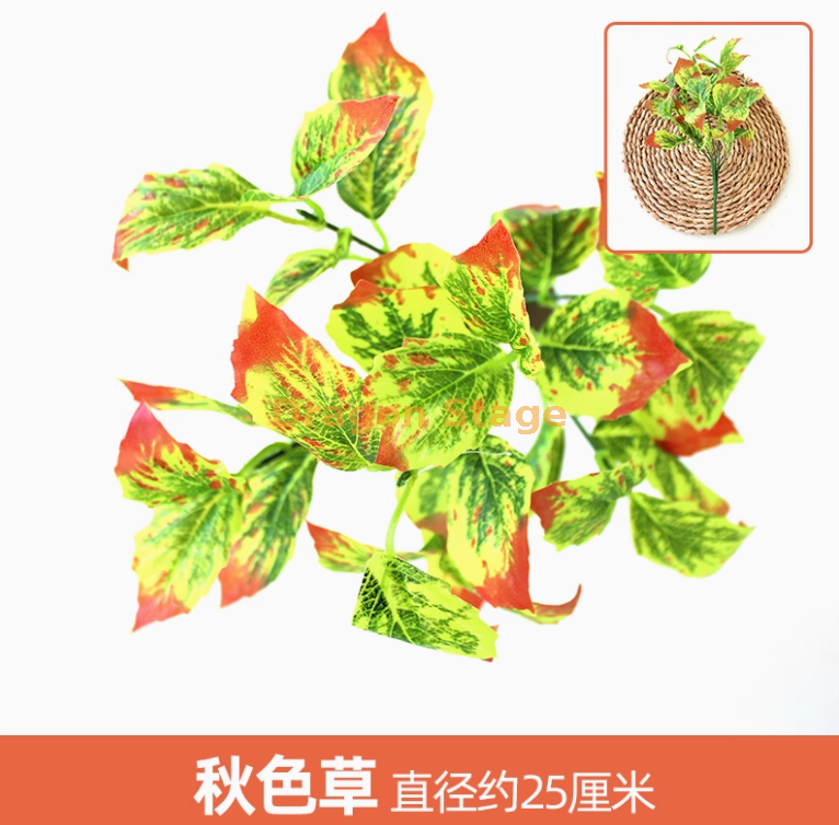 浅黄色 秋色草1枝