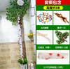 Simulated bamboo bark, green plants, flower vines, wrapped sewer pipe decoration, 2.5-inch birch bark set (monkey included)