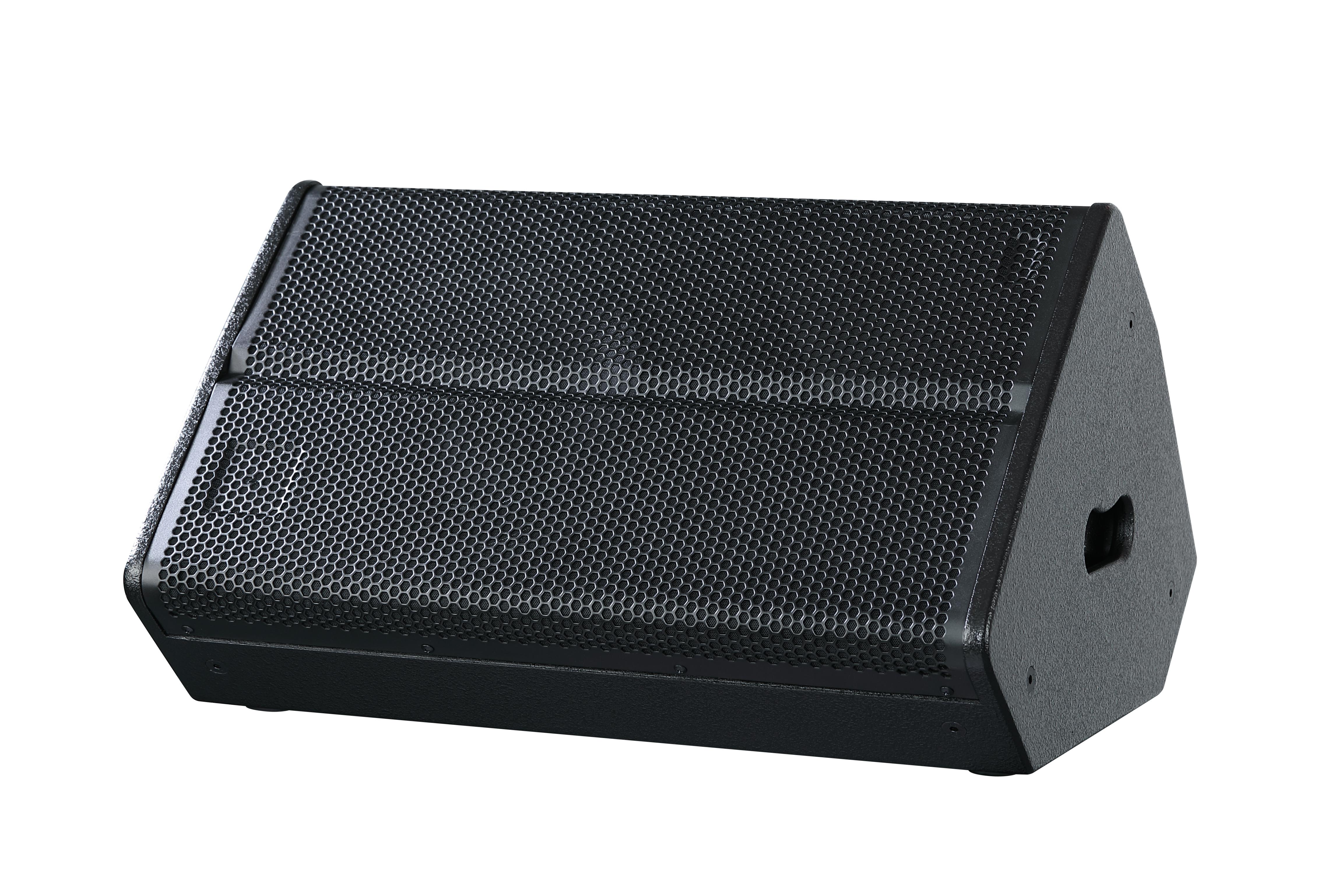 12 Stage Monitor Fill Speaker.jpg