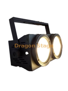 2 Eyes Monochrome COB Surface Light Audience Light twin cob light