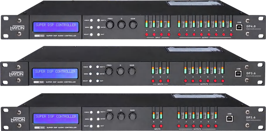 Digital Speaker Processor (DSP)