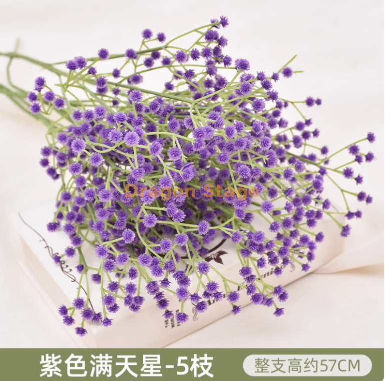 紫色 满天星5枝