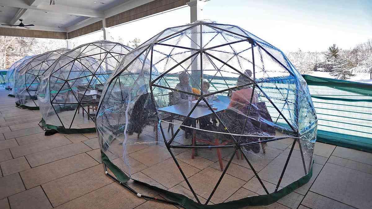 Garden Igloo Dome Glamping Geodesic Dome Tents 4m 6m - China Geodesic Dome  Tents and Garden Igloo Dome price