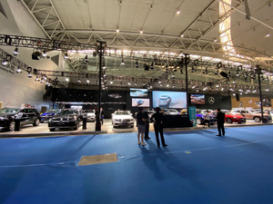auto show.jpg