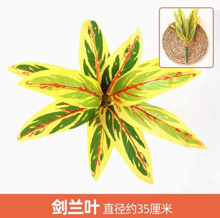 姜黄色 剑兰叶1枝