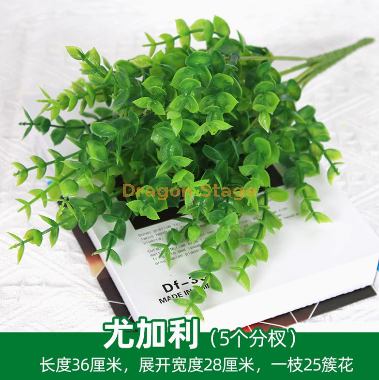 浅蓝色 尤加利把1枝