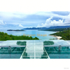 Acrylic Pool Stage for Wedding Events 12 Pieces