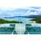Acrylic Pool Stage for Wedding Events 12 Pieces